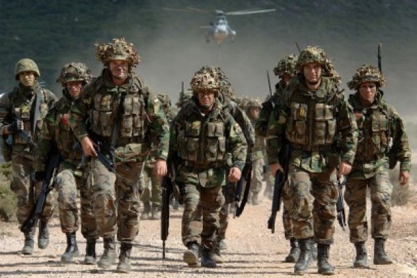 CSAT: Armata va disloca 1.311 militari în afara ţării în 2014, iar MAI - 791